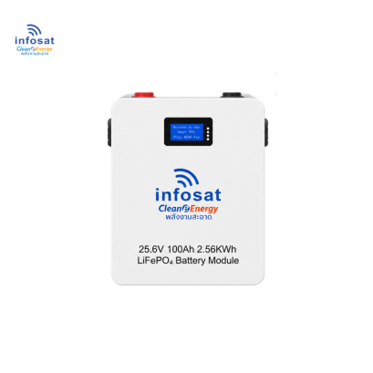 Lithium Battery 25.6V 100Ah 2.56KWh