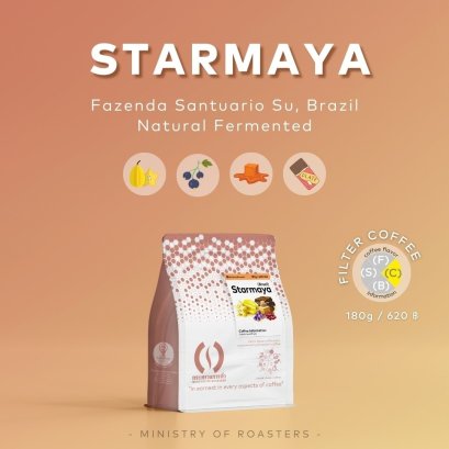 Star Maya