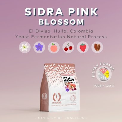 Sidra Pink Blossom