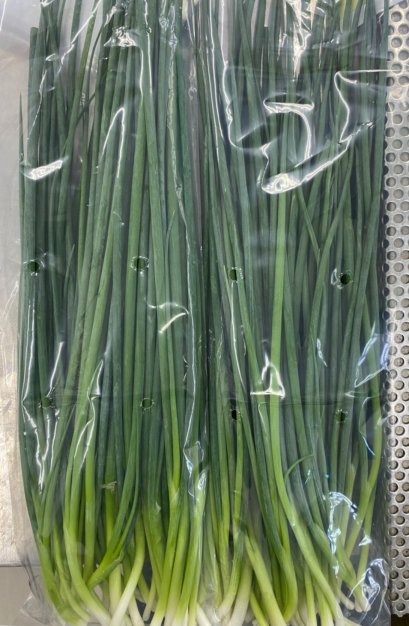 Spring Onion