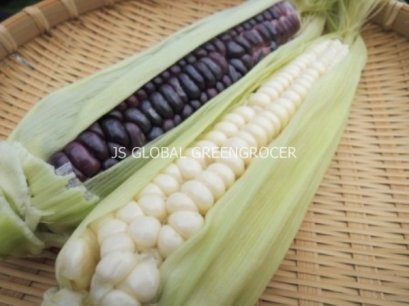 White/Purple Corn