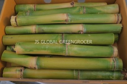 Sugar cane