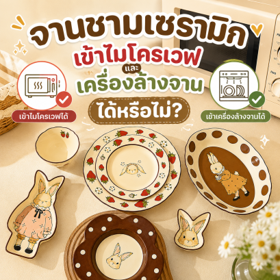 จานชามเซรามิก เข้าไมโครเวฟและเครื่องล้างจานได้หรือไม่?