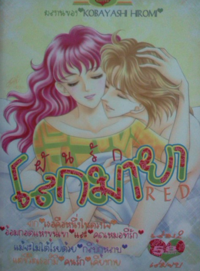 ฝันรักโลกมายา (จบ) PDF