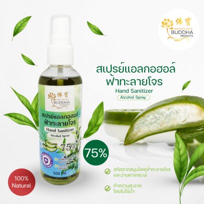 Hand Sanitizer Alcohol Spray สเปรย์แอลกอฮอล์ 75%