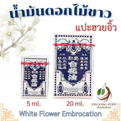 น้ำมันดอกไม้ขาว ขวดใหญ่ 5 20 ml. แปะฮวยอิ้ว White Flower Embrocation 白花油 Bai Hua You ฮ่องกง Hong Kong Pak Fah Yeow