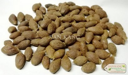 ลูกสำรอง (Malva Nut)