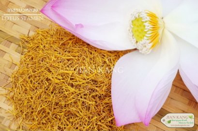 เกสรบัวหลวง (Lotus Stamen)