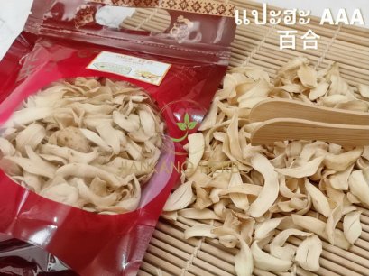 แปะฮะ (Lily Bulb)