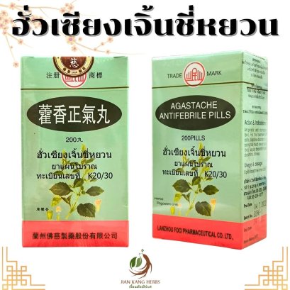 ฮั่วเซียงเจิ้นชี่หยวน Huo Xiang Zheng Qi Wan Agastache Antifebrile Pills 藿香正气丸 คักเฮียเจี้ยขี่อี๊