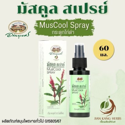 มัสคูลสเปรย์ MusCool Spray อภัยภูเบศร 60 มล. กระดูกไก่ดำ Willow-leaved Justicia