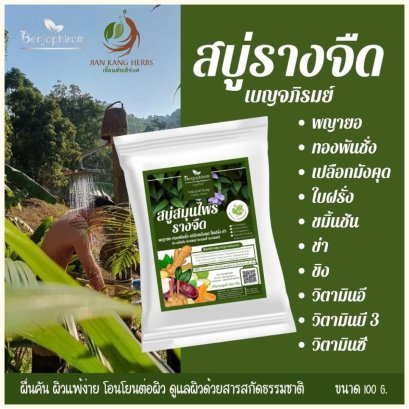 สบู่รางจืด สบู่สมุนไพร สำหรับ ผิวหนัง ผื่น คัน เหงื่อ กลาก พญายอ ทองพันชั่ง เบญจภิรมย์ Laurel Clock Vine Herbal Soap
