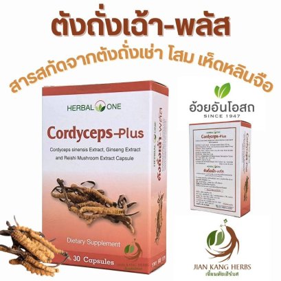 ตังถั่งเฉ้า พลัส 30 แคปซูล Cordyceps Plus Capsule อ้วยอันโอสถ Herbal One สารสกัดจาก ตังถั่งเฉ้า โสม เห็ดหลินจือ ถั่งเช่า
