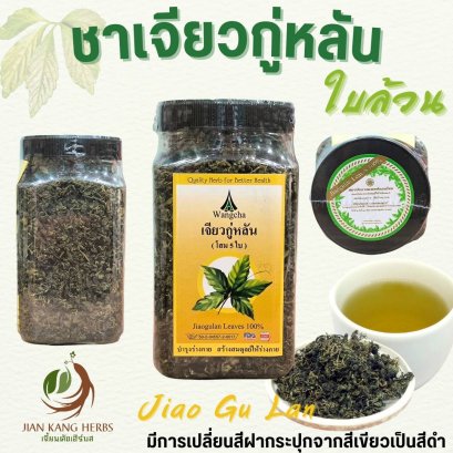 เจียวกู่หลัน หรือ เจียวกู่หลาน หรือ ชาปัญจขันธ์ หรือ โสมห้าใบ (Jiaogulan or Five-Leaf Ginseng)