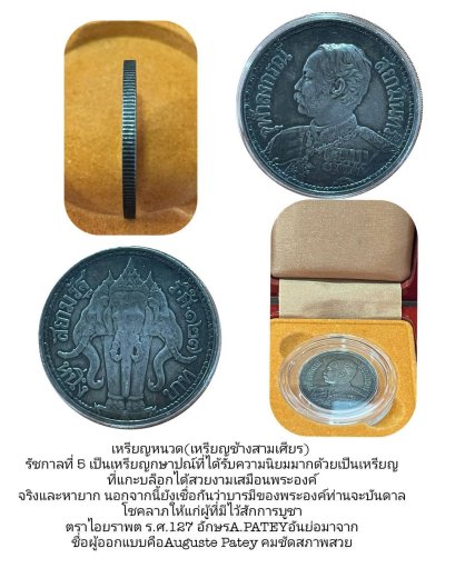 The Mustache Coin (Three-Headed Elephant Coin)