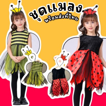ชุดแฟนซีแมลง 