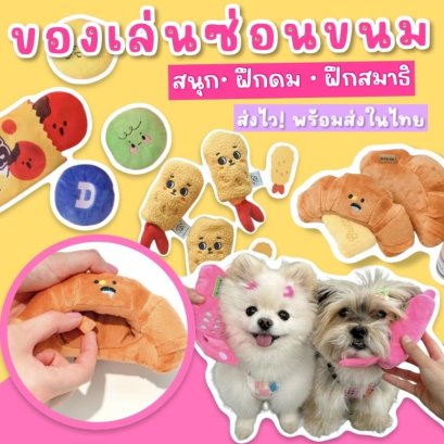 Sniffing Game ของเล่นซ่อนขนม