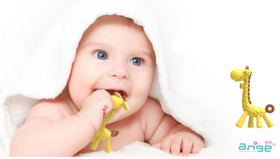 กัดมันสนั่นเหงือกไปกับยางกัดอังจู