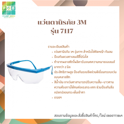 3M Safety Glasses Model 7117