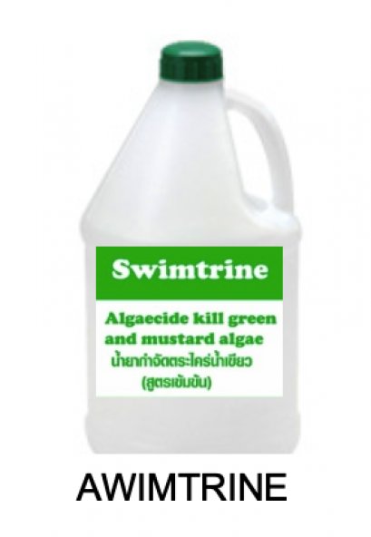 CHEMICAL POOL AWIMTRINE ALGAECIDE KILL GREEN AND MUSTARD น้ำยากำจัดตะไคร่น้ำเขียว (สูตรเข้มข้น) 