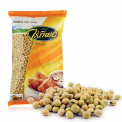 SOY BEAN ถั่วเหลือง