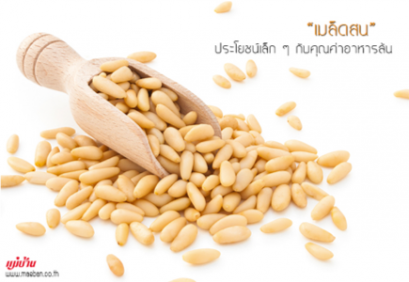 pine nut kernels เมล็ดถั่วสน