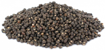 BLACK DAL 500 G. ถั่วดำ