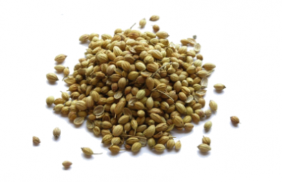 CORIANDER SEEDS 300 G.