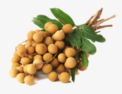 Longan ลำไย