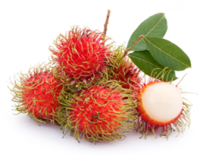 Rambutan เงาะ