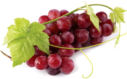 Red grape องุ่นแดง