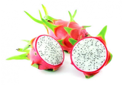 Dragon fruit แก้วมังกร