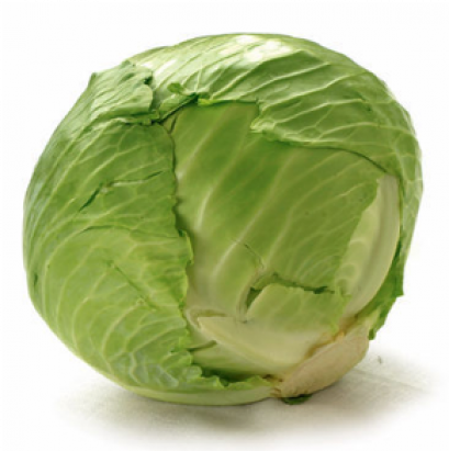 Cabbage กะหล่ำปลี