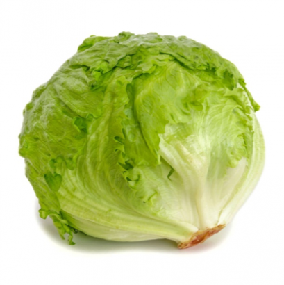 Iceberg lettuce ผักกาดหอม