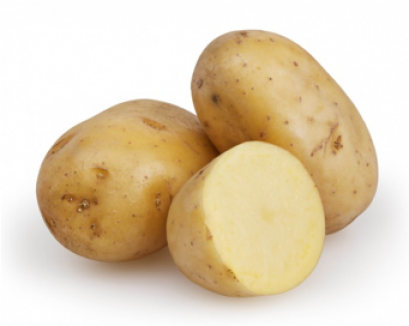 Potato มันฝรั่ง