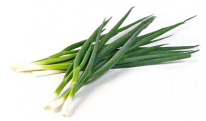 spring onion ต้นหอม