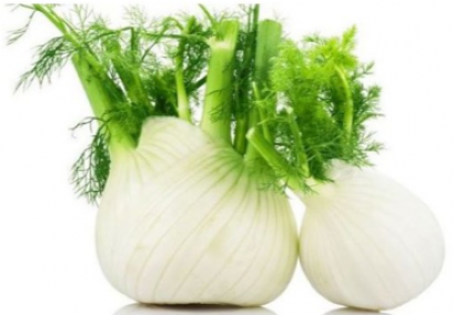 Fennel เฟนเนล