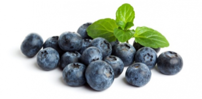 Blueberry บลูเบอร์รี่