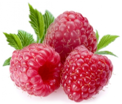 Raspberry ราสเบอร์รี่