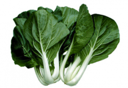 Pak choi / Hongkong