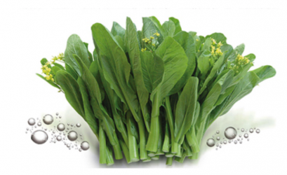 Chinese Kale ผักคะน้า