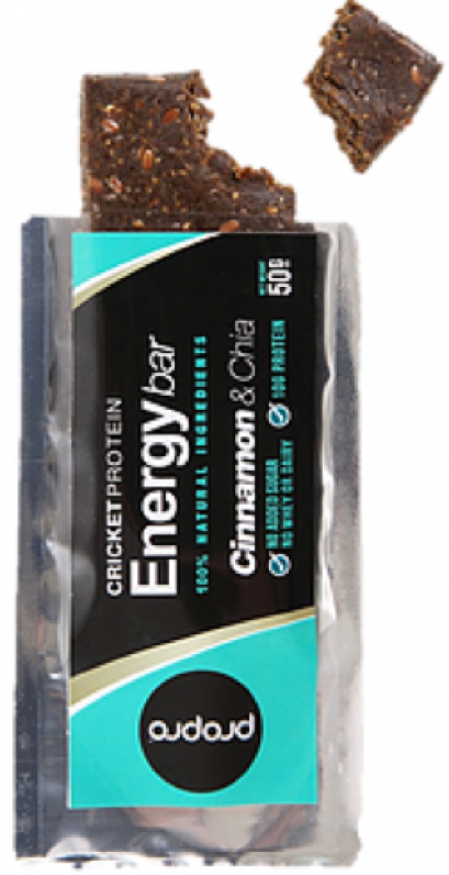 PRO CHINAMON &amp; CHIA BAR 50 GRM. แท่งโปรตีน