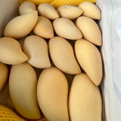 芒果（水仙芒）