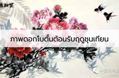 ภาพดอกโบตั๋นต้อนรับฤดูใบไม้ผลิชุนเทียน