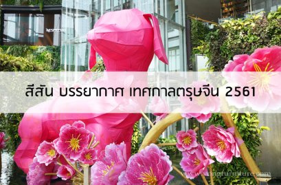 สีสัน บรรยากาศ เทศกาลตรุษจีน 2561