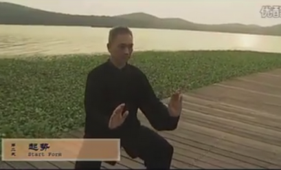 Clip (10) Dragon Body Snake Form Tai Chi