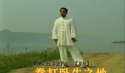 Clip (6) Thunder Taichi or Hulei Taichi 忽雷太極