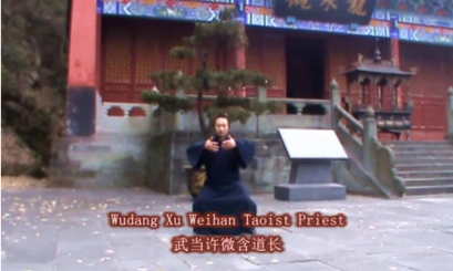 Clip (13) Wudang Cotton Palm