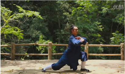 Clip (15) Wudang Tai Chi 2