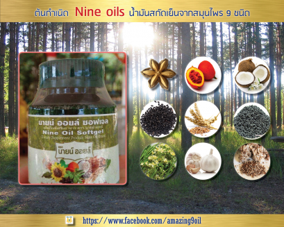 Amazing Nine-Oils (ต้นกำเนิด Nine-Oils)